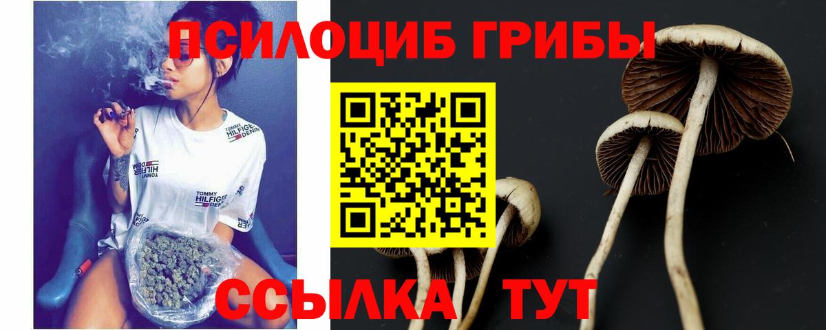Галлюциногенные грибы MAGIC MUSHROOMS  Вход с VPN  Галлюциногенные грибы GOLDEN TEACHER  Уссурийск 